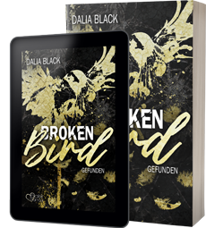 Buchcover von:  Broken Bird: Gefunden