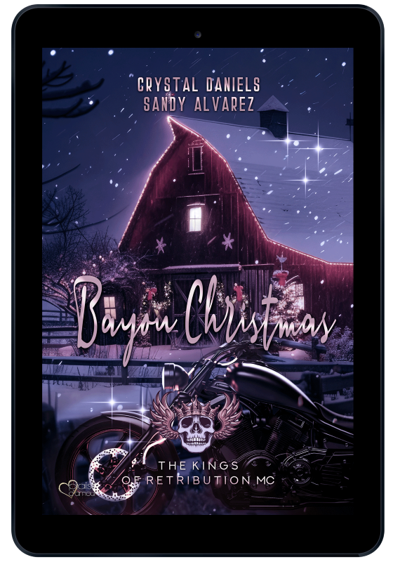 Buchcover von:  Bayou Christmas